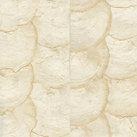 Shells VP 670 04 | Wall coverings / wallpapers | Elitis