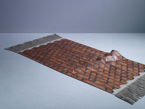 Wooden Carpet Sherwood | Alfombras / Alfombras de diseño | böwer