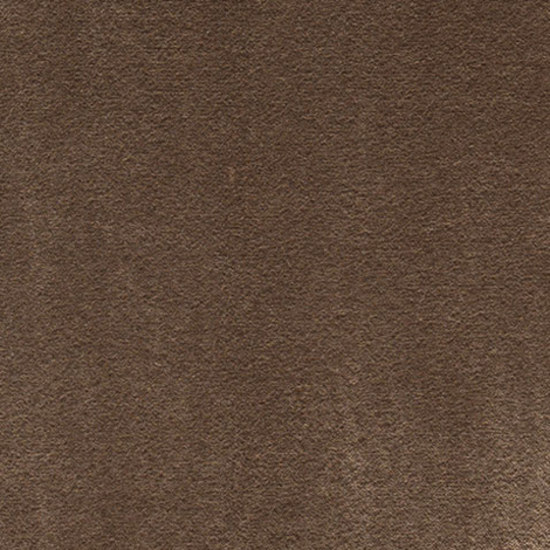 Cotton Velvet 002 Ground | Tissus d'ameublement | Maharam