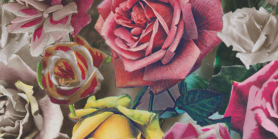 Hand Tinted Rose 001 Unique | Carta parati / tappezzeria | Maharam
