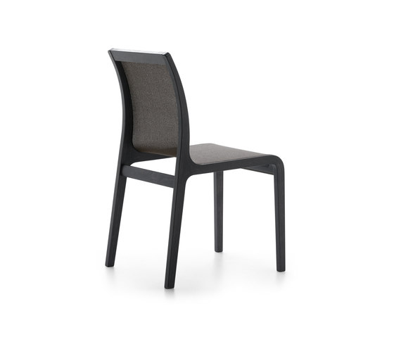 Arin Wengé Chair* | Sedie | Alki