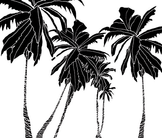 Hula Coconut | Revêtements muraux / papiers peint | Wall&decò