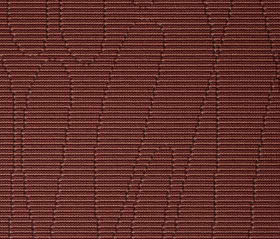Ply Brush 1650 | Moquettes | Carpet Concept