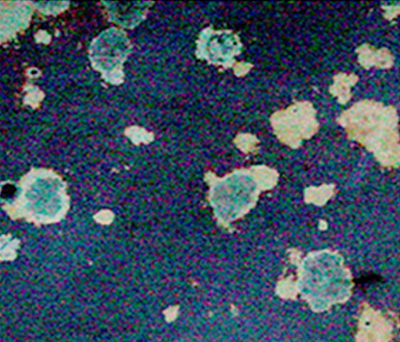 Cosmos | Moon Shadow | Decorative glass | Conglomerate
