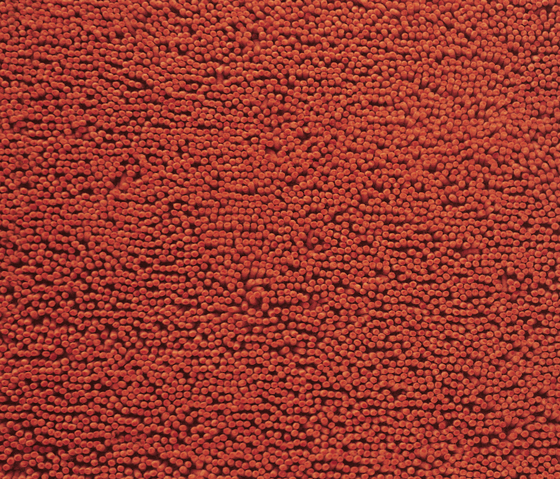 Nic Solitär | Wall-to-wall carpets | Carpet Concept
