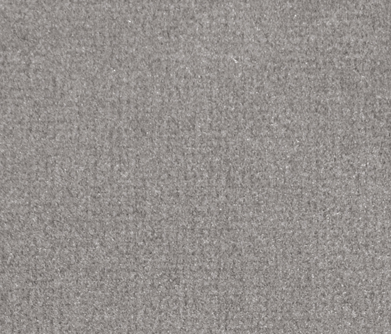 Isy V Dust | Moquettes | Carpet Concept