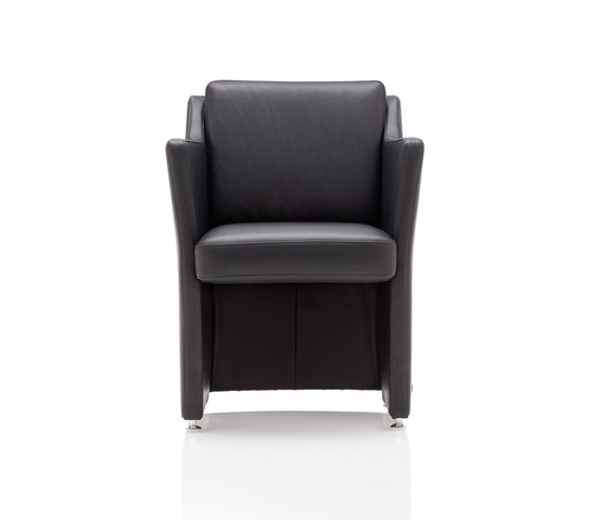 Rolf Benz 7100 | Chairs | Rolf Benz