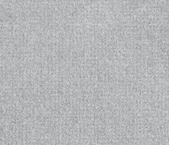 Isy V Titan | Wall-to-wall carpets | Carpet Concept