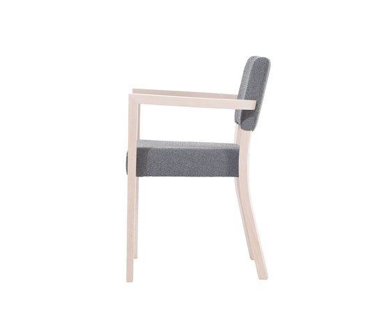 Treviso chair | Sedie | TON A.S.
