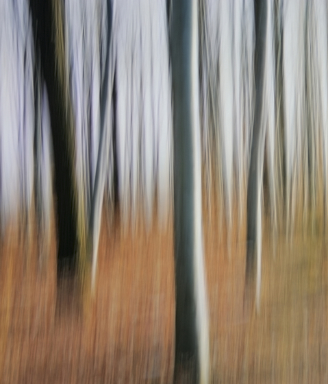 No. 6582 | Abstract forest | Wall coverings / wallpapers | Berlintapete