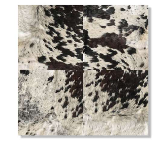 Cow Carpet | Rugs | Minotti