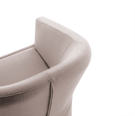 Fedele armchair | Armchairs | viccarbe
