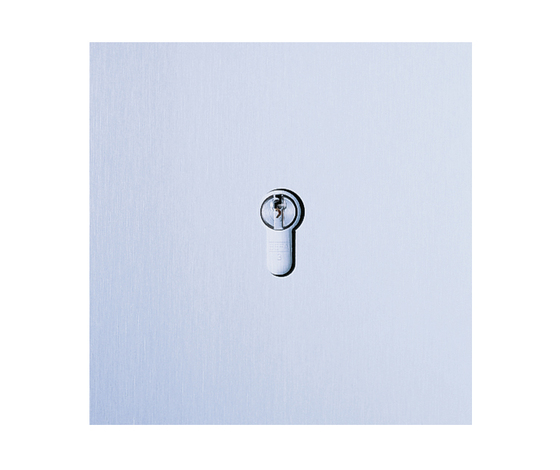 Siedle Steel key-operated switch | Serrures | Siedle