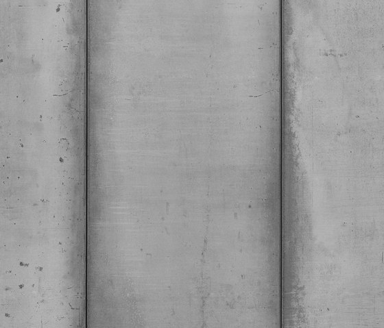 Concrete wall 1 | Quadri / Murales | CONCRETE WALL