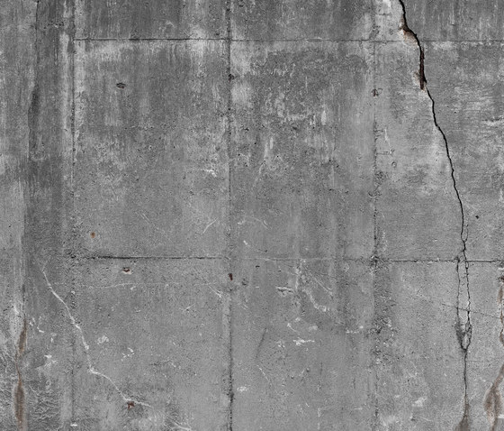 Concrete wall 15 | Quadri / Murales | CONCRETE WALL
