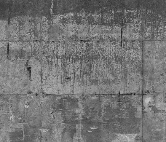 Concrete wall 16 | Quadri / Murales | CONCRETE WALL