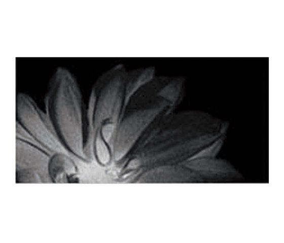Black and White Slim/4 Decoro Fiore black | Piastrelle ceramica | FLORIM