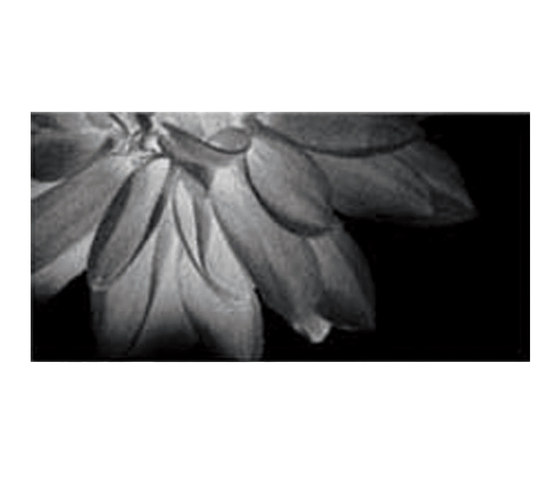 Black and White Slim/4 Decoro Fiore black | Carrelage céramique | FLORIM