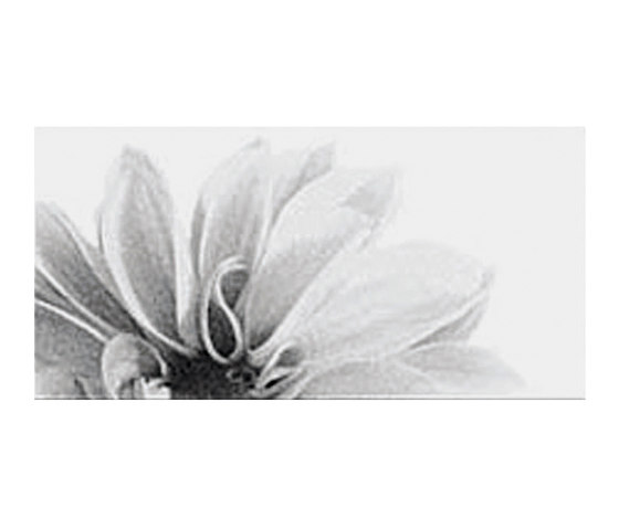 Black and White Slim/4 Decoro Fiore white | Baldosas de cerámica | FLORIM