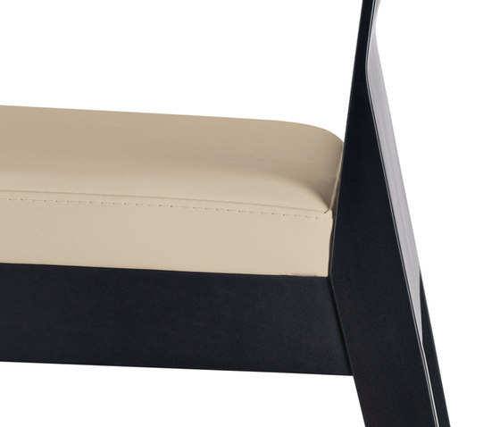 Twig 429/2* | Chairs | PEDRALI