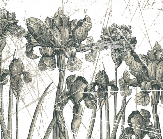 Herbarium | Quadri / Murales | Wall&decò