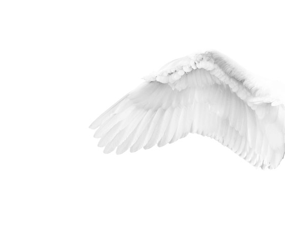 White Angel | Arte | Wall&decò