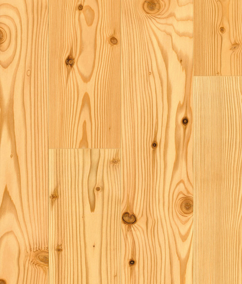 CITY FLOOR Mélèze de montagne | Planchers bois | Admonter Holzindustrie AG