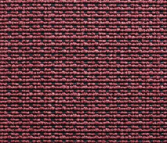 Eco Pur 1 1825 | Moquetas | Carpet Concept
