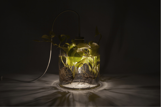 Vase & Leuchte by dua | Vases