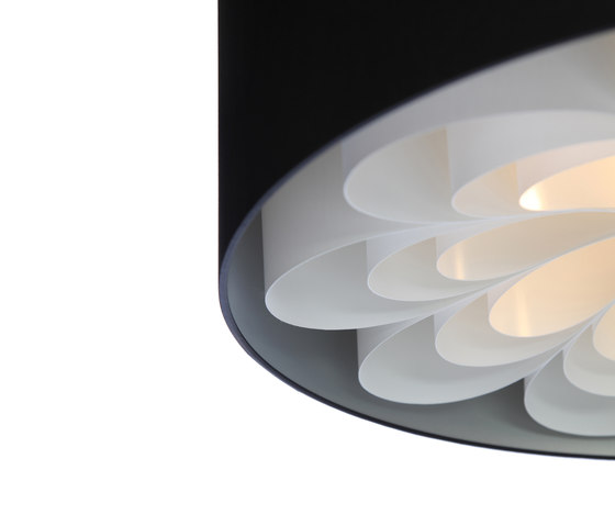 Daisys Suspended lamp | Suspensions | Odesi
