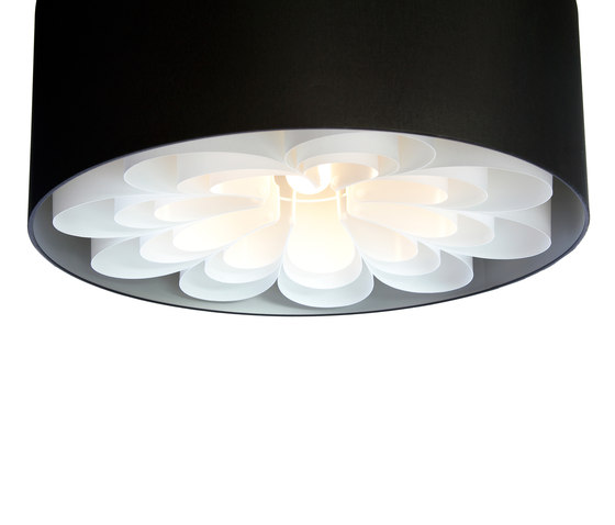 Daisys Suspended lamp | Suspended lights | Odesi