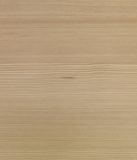 Panel Mountain Larch knotless AS | Wood panels | Admonter Holzindustrie AG