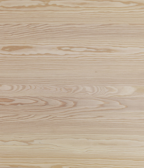 Panneau Mélèze de montagne sans noeuds AF | Panneaux de bois | Admonter Holzindustrie AG