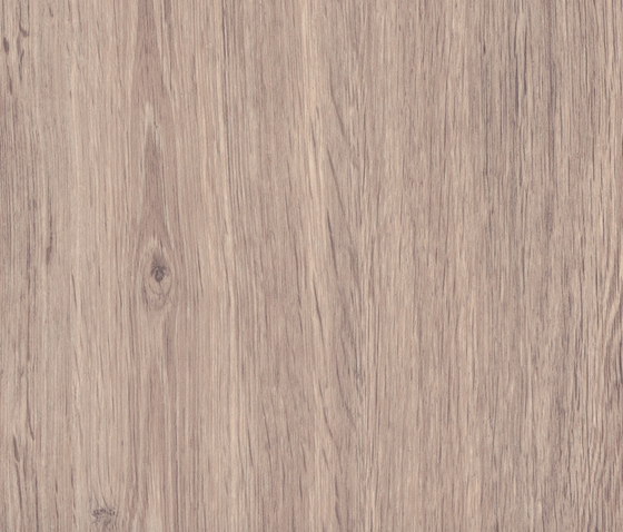 Light Verona Oak | Panneaux de bois | Pfleiderer