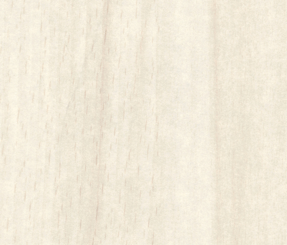Victoria Beech | Planchas de madera | Pfleiderer