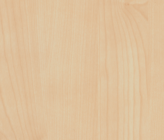Natural Tessin Maple | Planchas de madera | Pfleiderer
