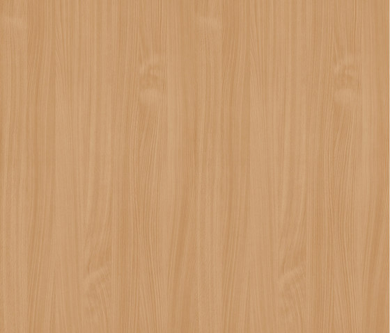 Natural Beech | Wood panels | Pfleiderer