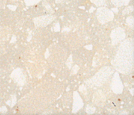 Corian® Savannah A K | Mineral composite panels | Hasenkopf