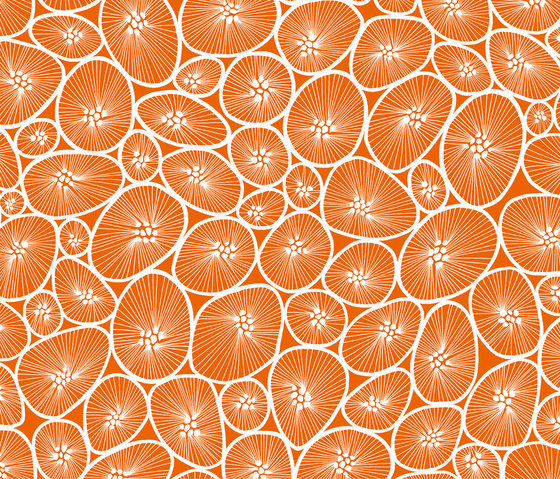 Korall mandarine I white | Drapery fabrics | BANTIE