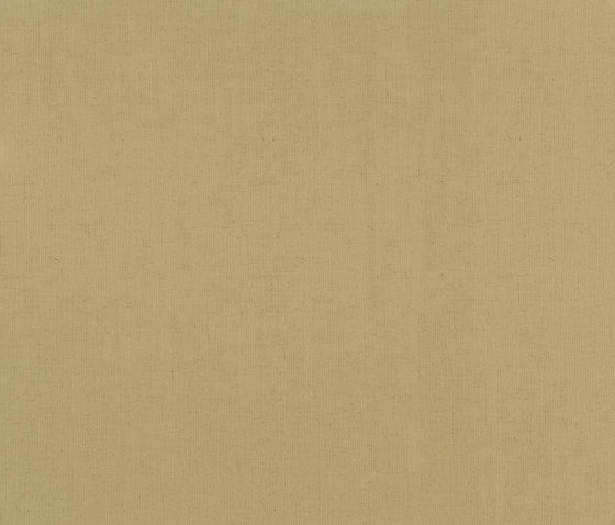 Grease 18104 | Revêtements muraux / papiers peint | Equipo DRT