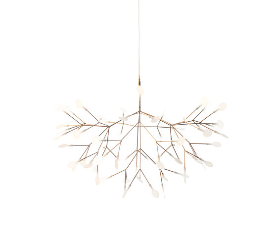 Heracleum II Suspended - Large Copper | Suspended lights | moooi