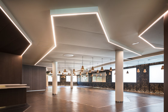 Vibrasto, acoustic material | Acoustic ceiling systems | Texaa®