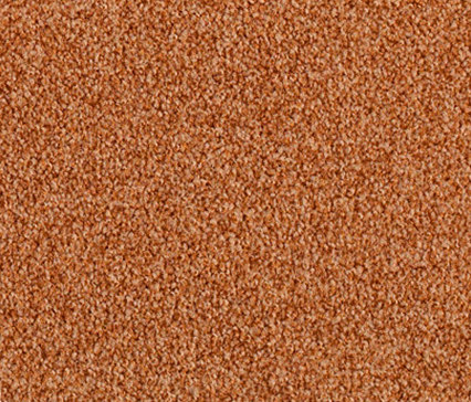 Frisea 269D | Wall-to-wall carpets | Vorwerk