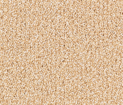 Odina 8C68 | Wall-to-wall carpets | Vorwerk