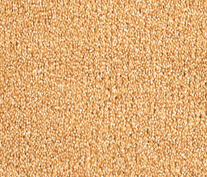 Odina 2B67 | Wall-to-wall carpets | Vorwerk