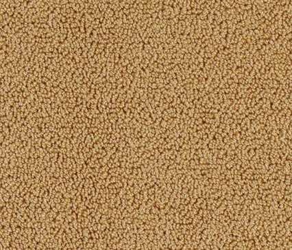 Scano 77645-2C80 | Wall-to-wall carpets | Vorwerk