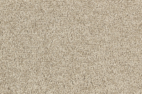 Viola 8C34 | Wall-to-wall carpets | Vorwerk