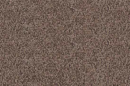 Viola 7B57 | Wall-to-wall carpets | Vorwerk