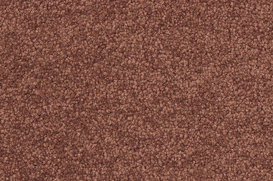 Viola 1A66 | Wall-to-wall carpets | Vorwerk