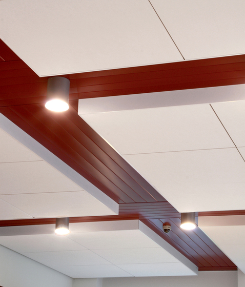 Techstyle® Acoustical Ceilings Swing Down | Suspended ceilings | Hunter Douglas